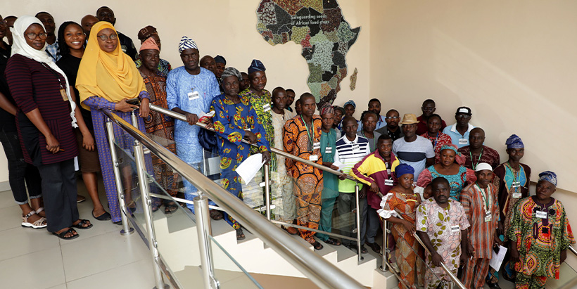 The-IITA-PROSSIVA-team-with-the-farmers.