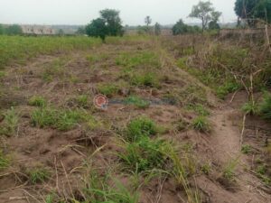 available-land-in-issele-uku-asaba-delta-state-UBBkbUusD0YawyfOC6EC