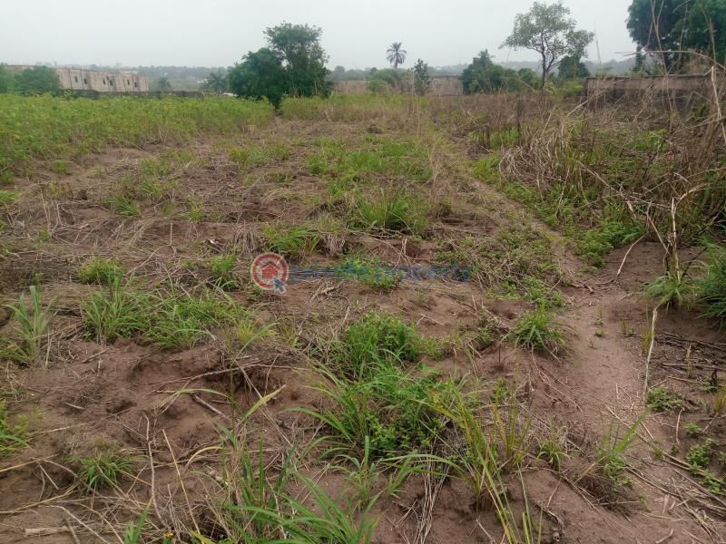 available-land-in-issele-uku-asaba-delta-state-UBBkbUusD0YawyfOC6EC