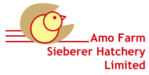 Amo-Farm-Sieberer-Hatchery-Limited