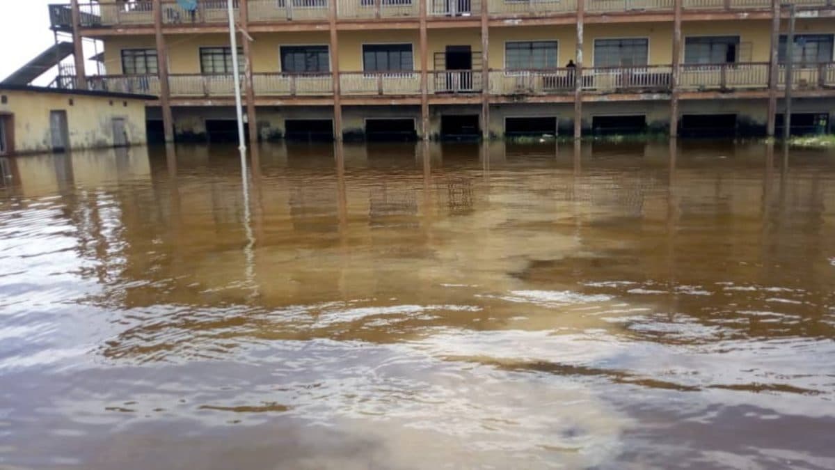 Flood-1