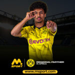 Karim-Adeyemi_1080X1080