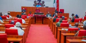 Nigerian-senate-780×470-1-750×375