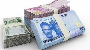 new-Naira-notes-1424×802