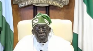 nigeria-seven-key-points-from-president-tinubu-independence-speech