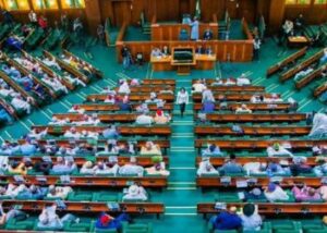 House-of-representatives-1-1