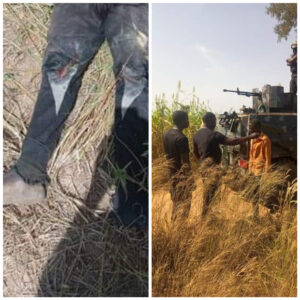 cover1_1698738186