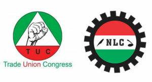 TUC-NLC