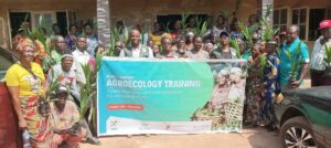 Farmers displaying improved palm seedlings