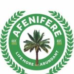 Afenifere-UK-552×375