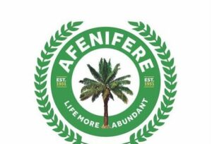 Afenifere-UK-552×375