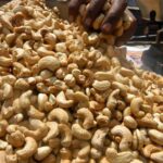 Cashew-factories
