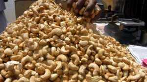 Cashew-factories