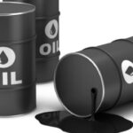 Oil