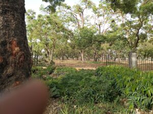 IMG_20240325_170148_069