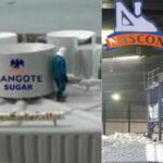 Dangote-and-Nascon-Allied-1