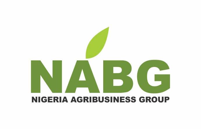 Nigeria-Agribusiness-Group-NABG