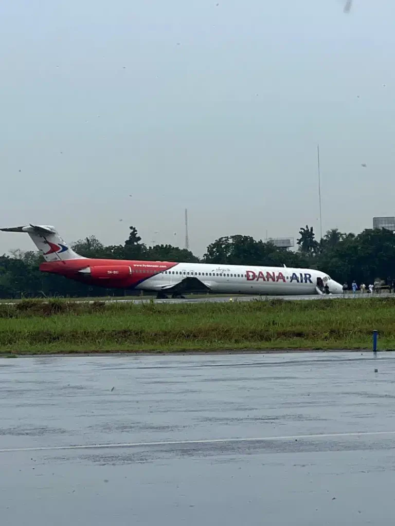 dana-3.jpg