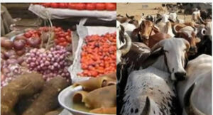 Food-stuff-and-cattle