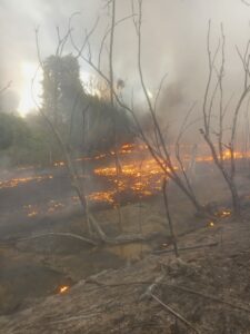 The inferno caused by the explosion