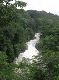 Cross River National Park