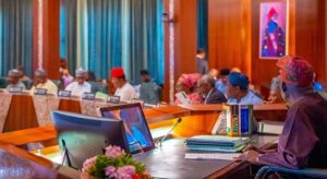 Federal Executive Council (FEC)