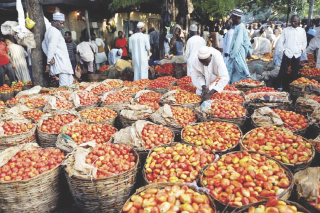High cost of tomato