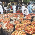 High cost of tomato
