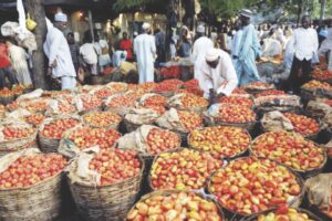 High cost of tomato
