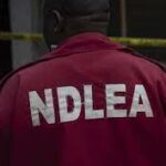 NDLEA