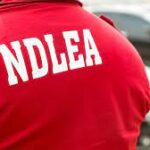 NDLEA1
