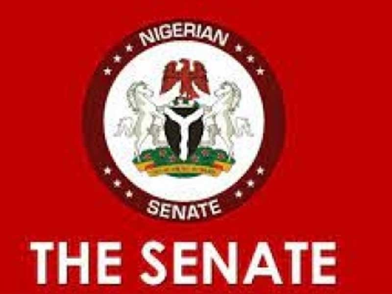 SENATE