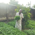 Sadare, Oyo APC spokesperson in his farm