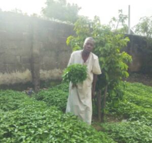 Sadare, Oyo APC spokesperson in his farm
