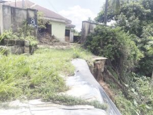•Erosion menace in Afaha Oku village, Uyo