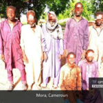 69 Boko Haram fighters, families surrender to MNJTF in Cameroon, Niger