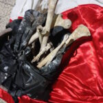 Rivers: Police arrest OSPAC vigilante leader with human remains