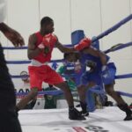 Amateur boxing championship