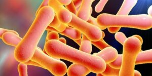 Diphtheria-v1-panorama-1d8bee1189b57584fd9b4efb63c451db-ifmulep01ros