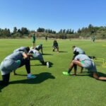 Falconssevilla-Training1