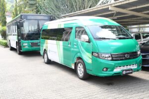 CNG buses