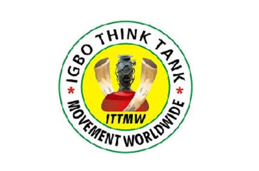 Igbo-Think-Tank-21-513×340-1