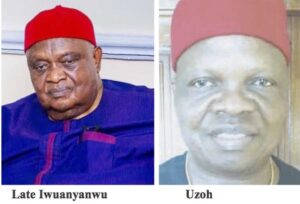 Iwuanyanwu1