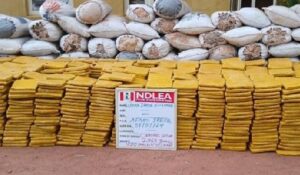 NDLEA
