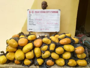NDLEA intercepts cocaine, opioids hidden in shoes, clothes at Lagos airport