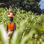 Nigeria-farming-web