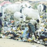 Scavengers at a rubbish dump in Karu, Abuja