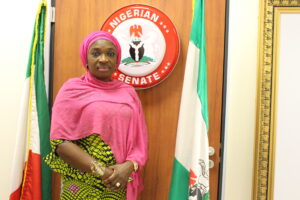 Senator Uche Ekwunife