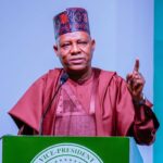 Vice President Kashim Shettima