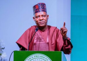 Vice President Kashim Shettima